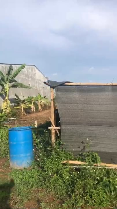 Đất thổ cư 270m² đường Nguyễn Đình Chiểu, Đăk Hà - Bán gấp chính chủ!