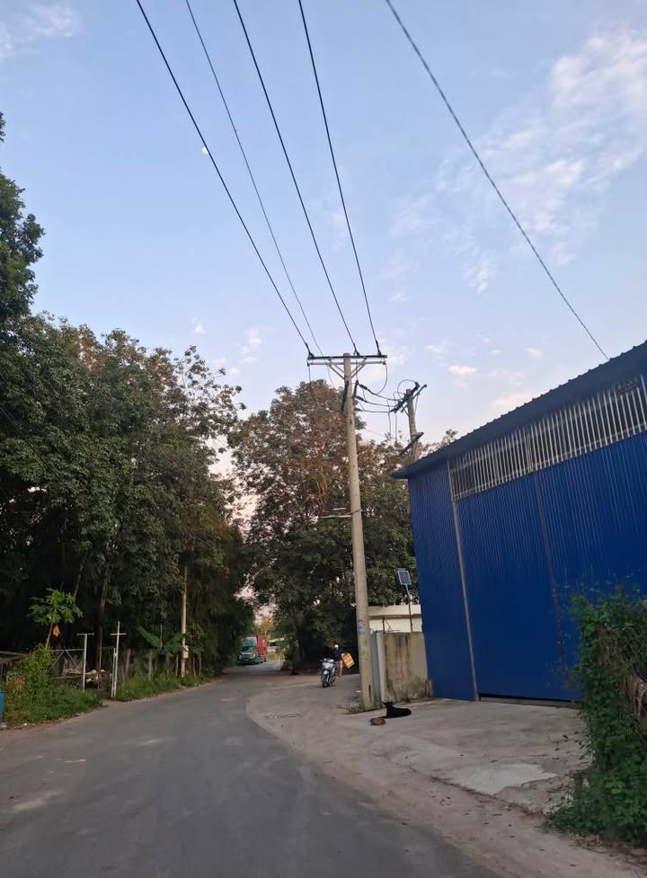 Đất nền An Điền Bến Cát 1500m² giá 3 tỷ - Phù hợp xây kho xưởng