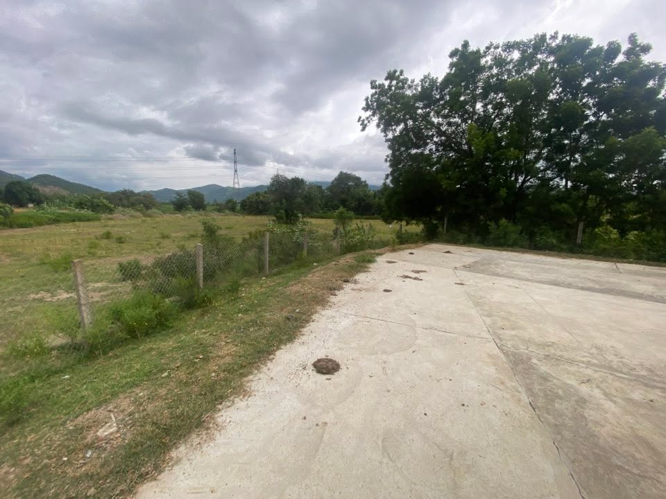 Đất thổ cư Phước Đại, Bác Ái 5000m² giá 1.1 tỷ - Phân lô đẹp, đầu tư sinh lời!