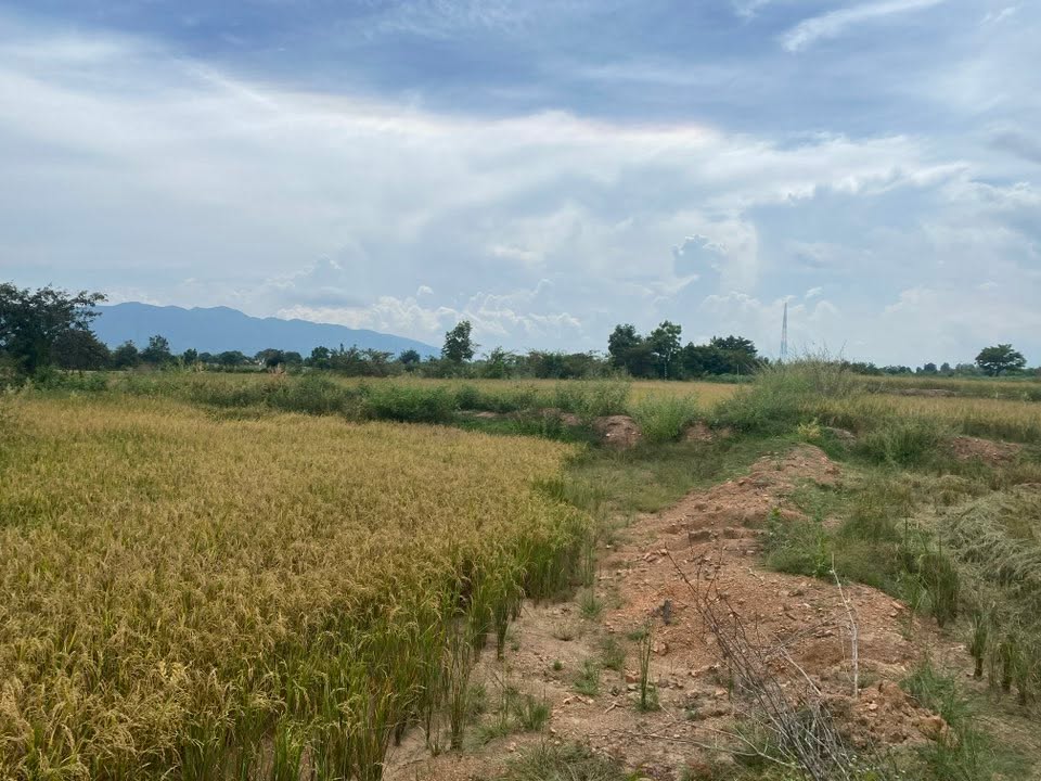 Đất nền chính chủ xã Phước Đại, huyện Bác Ái, Ninh Thuận 1,7ha - Giá chỉ 612 triệu!