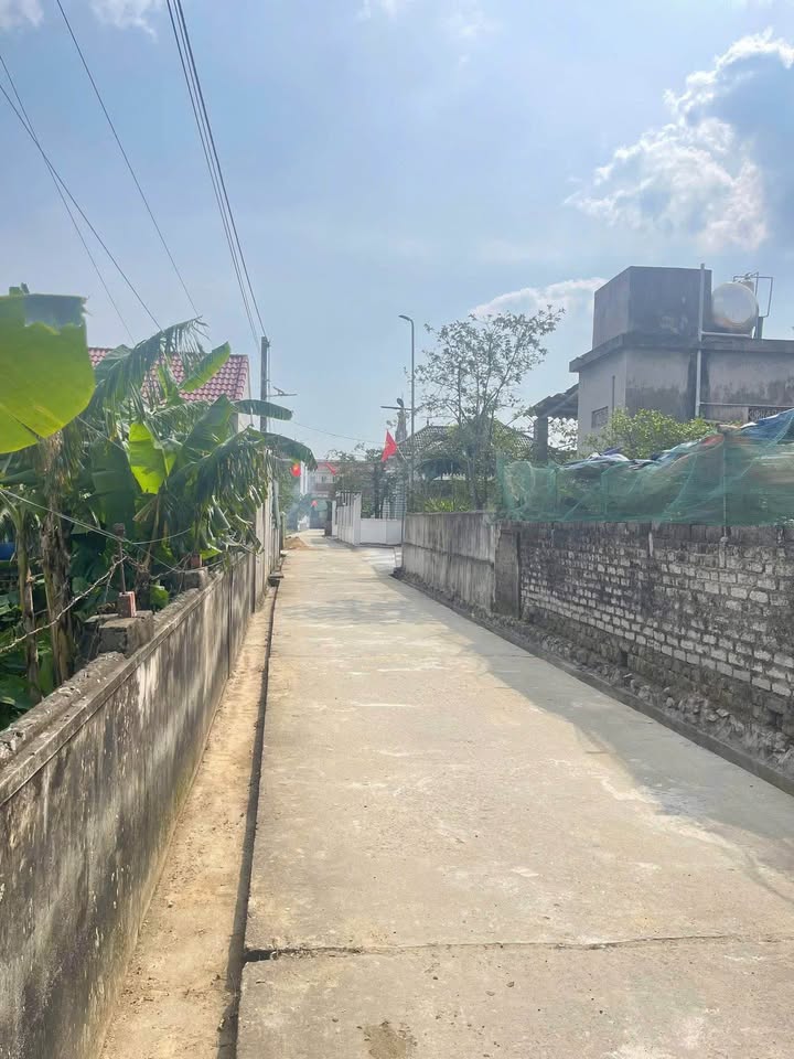 Đất thổ cư 208m² tại Thôn 1, Diễn Kỷ - Giá 2.9 tỷ, Chính chủ bán gấp!