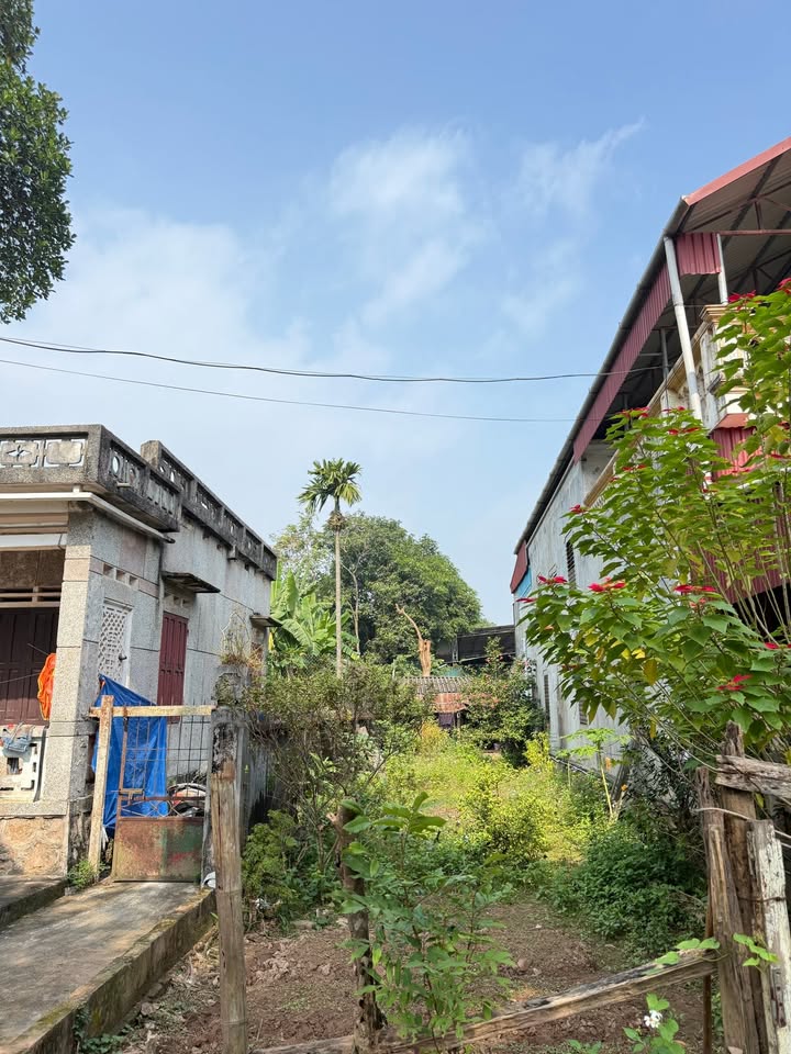 Đất nền Trung Minh Hòa Bình 112m² giá 1.4 tỷ - View bờ Sông Đà tuyệt đẹp!