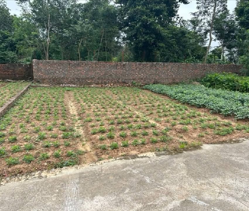 Đất nền Phù Linh, Sóc Sơn 100m² giá chỉ 2 tỷ - Cơ hội đầu tư tuyệt vời!