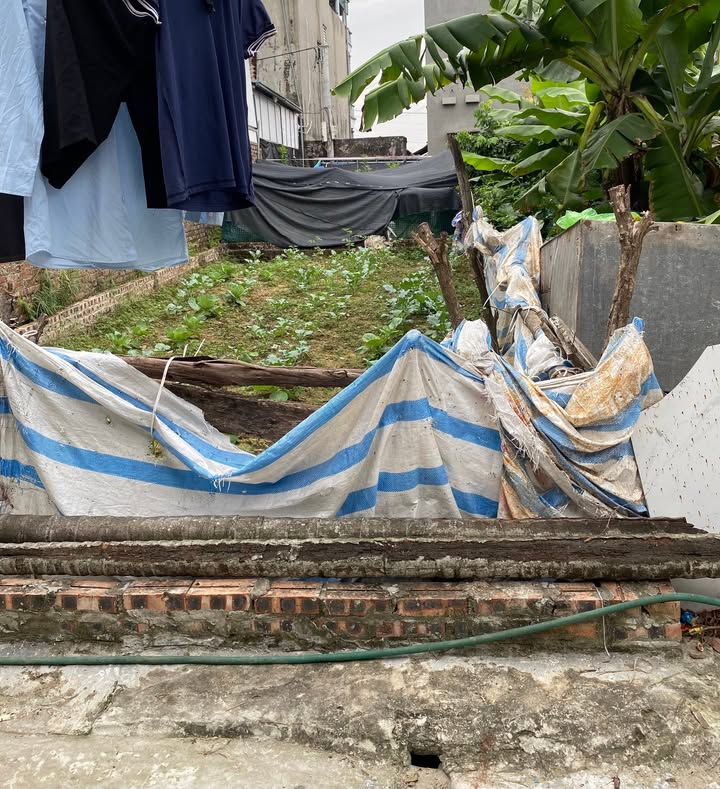 Đất thổ cư thôn Tuyền, Đông Xuân 55m² giá 1 tỷ - Sổ đỏ chính chủ, xe tải vào thoải mái!