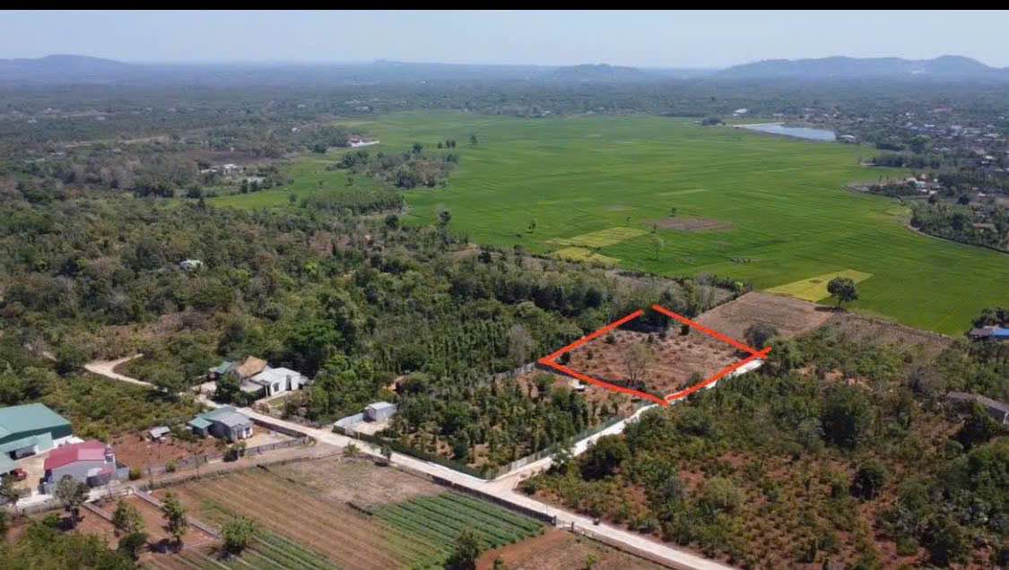 Đất nền 2500m² Phường Ea Kao, BMT giá 4.3 tỷ - Cơ hội đầu tư hiếm có!