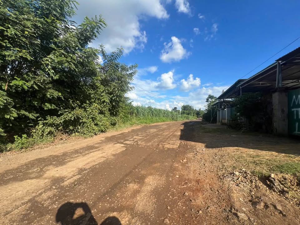 Đất thổ cư thôn 8 Cư Êbur, Buôn Ma Thuột 480m² giá 1.39 tỷ - Cơ hội đầu tư vàng!