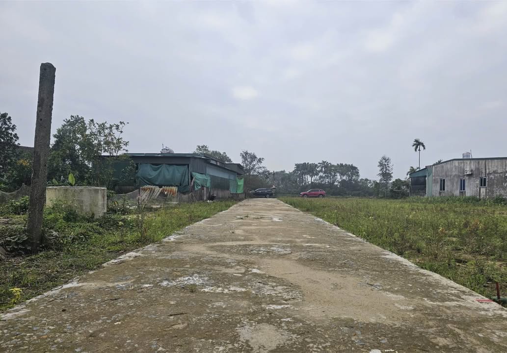 Đất thổ cư Kỷ Các, Hà Tĩnh 115m² giá 800 triệu - Cơ hội đầu tư hấp dẫn!