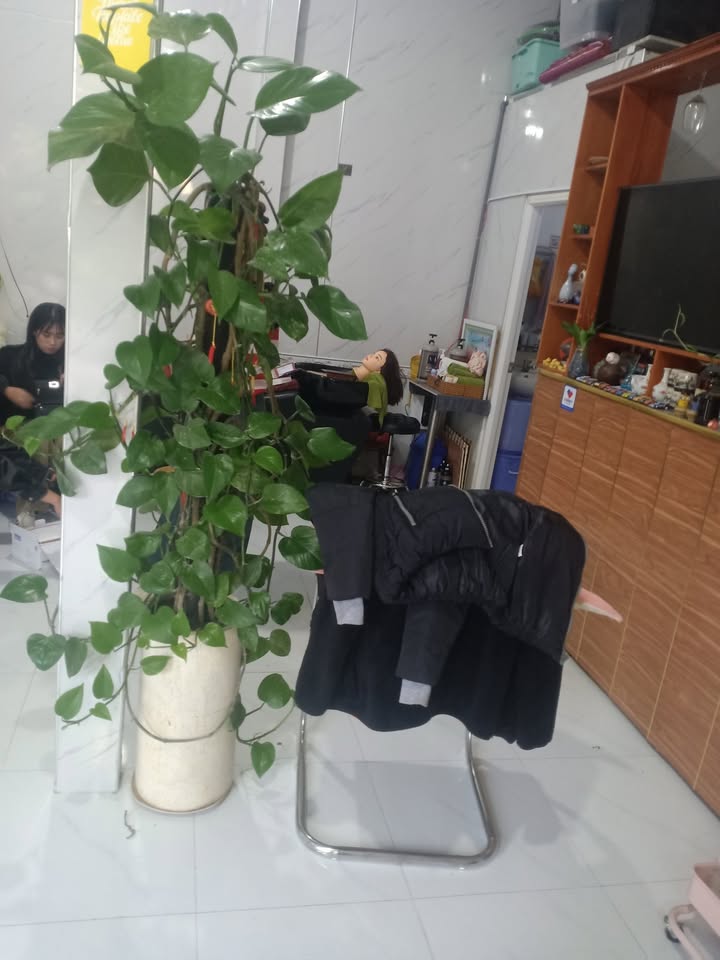 Cho thuê nhà nguyên căn đường Hùng Vương Đà Lạt 60m² chỉ 2.3 triệu/tháng - Nhà đầy đủ tiện nghi!