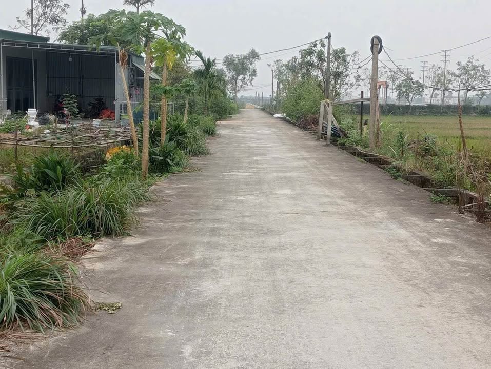 Đất nền đường Nguyễn Xí, phường Hà Huy Tập, 145m² giá 1.3 tỷ - Cơ hội đầu tư hấp dẫn!