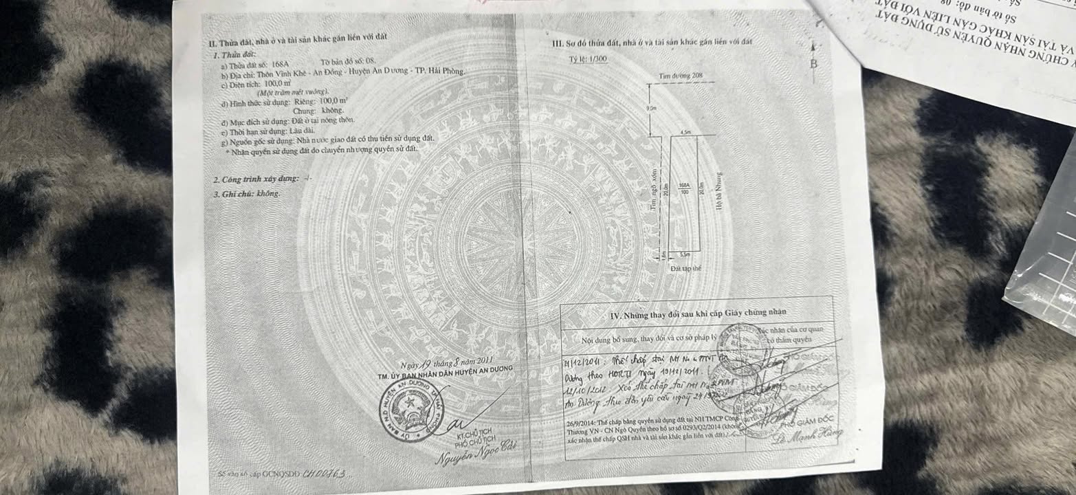 Đất mặt đường 208 An Đồng 100m² giá 5.7 tỷ - Lô góc cực đẹp!