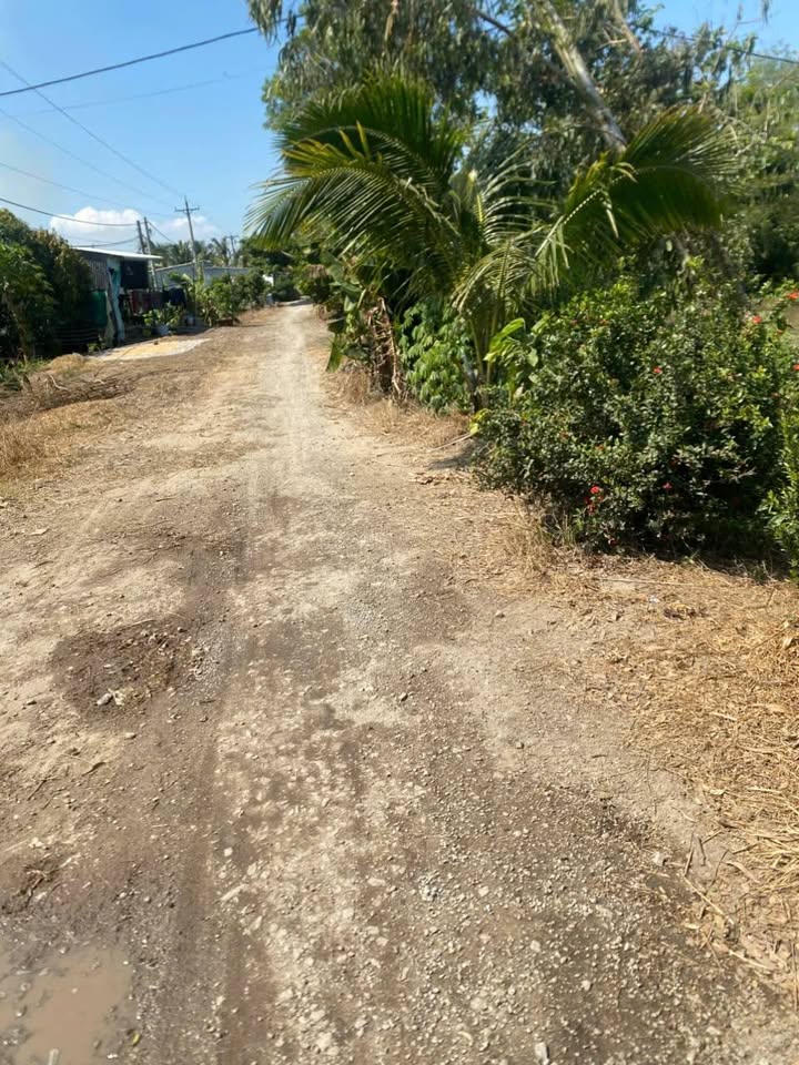 Đất nông nghiệp 20 công Vĩnh An, Châu Thành - Giá chỉ 3.465 tỷ, tiện ích đầy đủ!