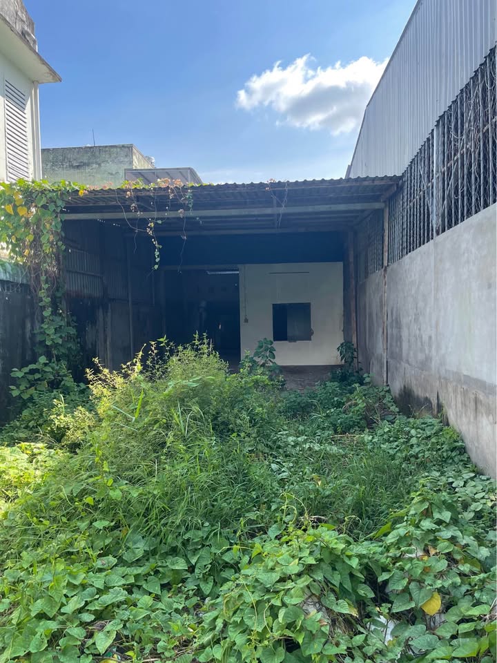 Đất nền đường Ỷ Lan, Bình Khánh 155m² giá 2 tỷ - Cơ hội đầu tư tuyệt vời!