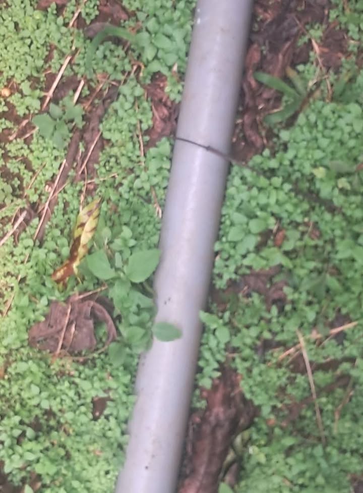 Đất Farm 20.000m² tại xã Dliê Yang, huyện Ea H'Leo giá 1.5 tỷ - Đầu tư lý tưởng!