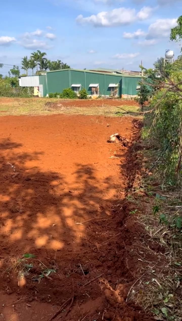 Bán đất thổ cư khu dân cư Hẻm QL14 - Buôn Hồ 925m² giá 2.5 tỷ - Đầu tư sinh lời ngay!