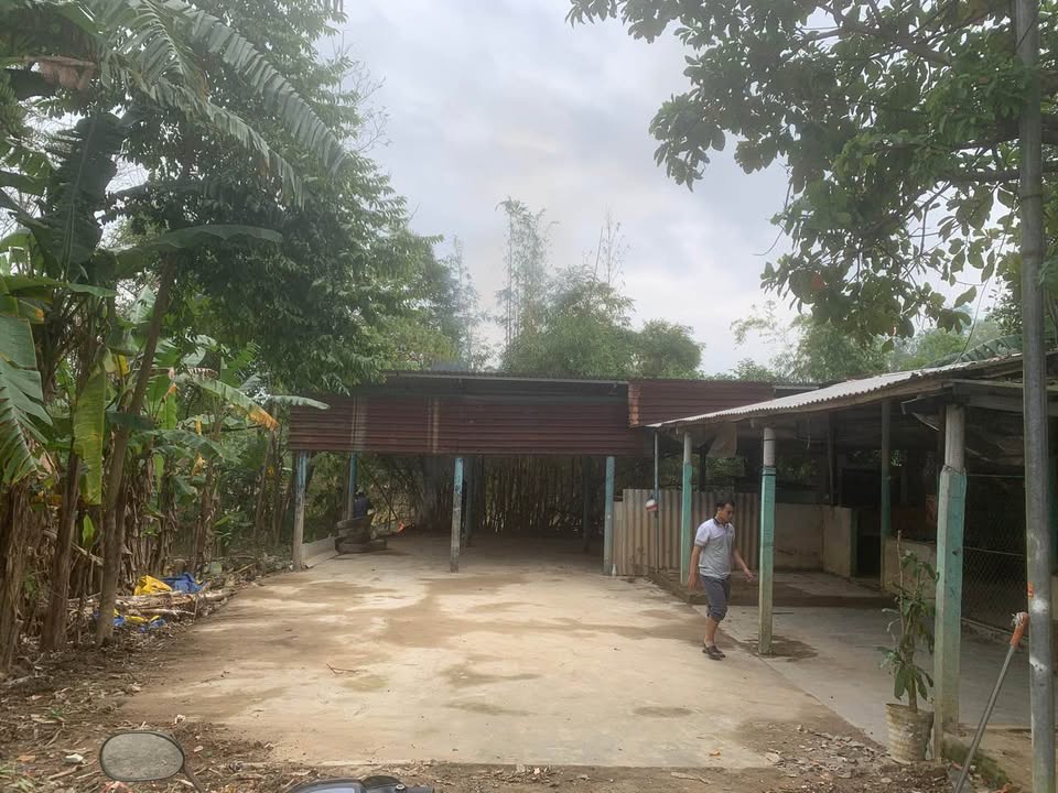 Cho thuê mặt bằng FrontHouse 500m² đường Lý Nam Đế, TP Huế - Thỏa thuận giá hấp dẫn!