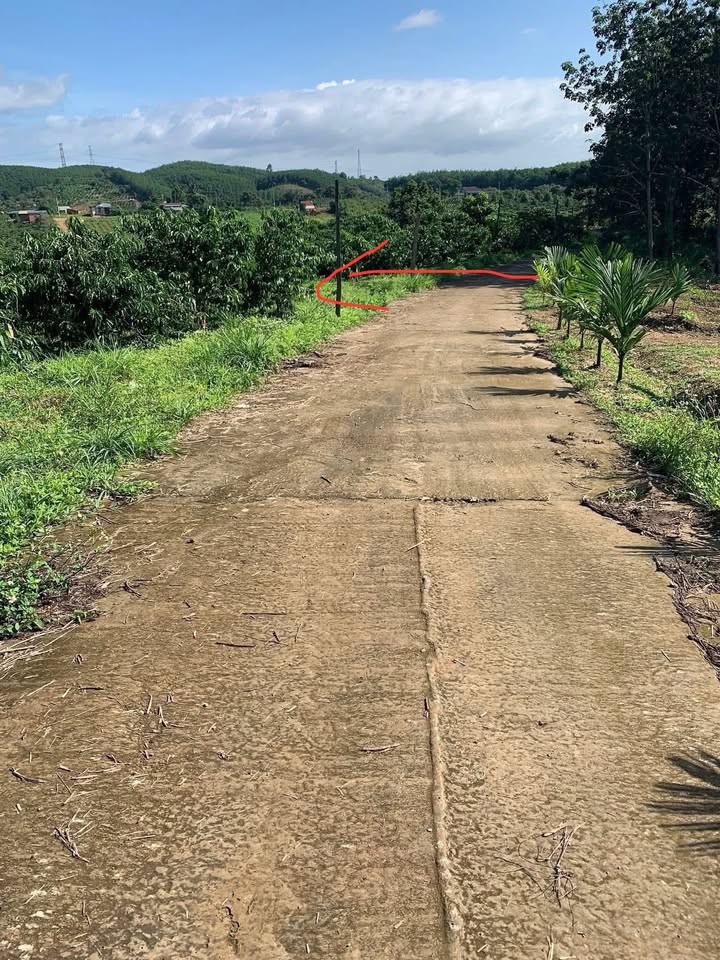 Đất nền Đăk Mâm, Krông Nô 660m² giá 150 triệu - Sổ đỏ chính chủ!