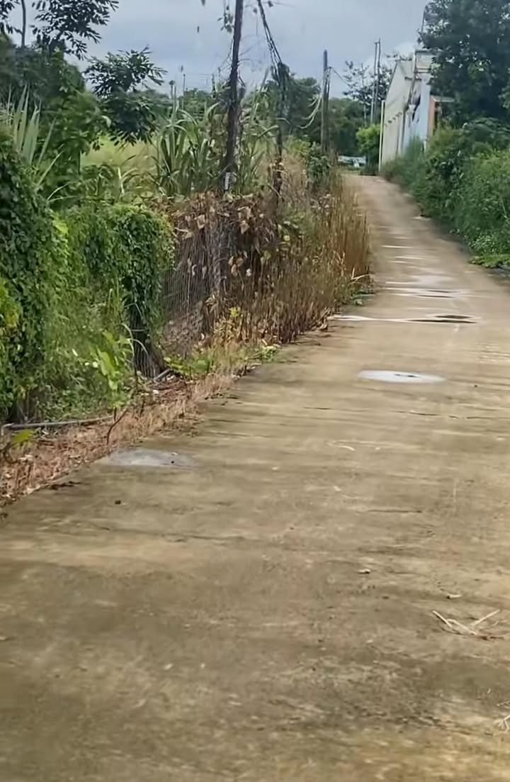 Đất nền Đắk Mil 210m² giá 2.1 tỷ - Cơ hội đầu tư hấp dẫn!