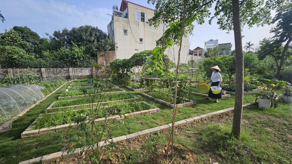 Đất cho thuê 5000m² tại Hòa Lạc, Sơn Tây - Phù hợp làm sân thể thao, homestay, viện dưỡng lão!