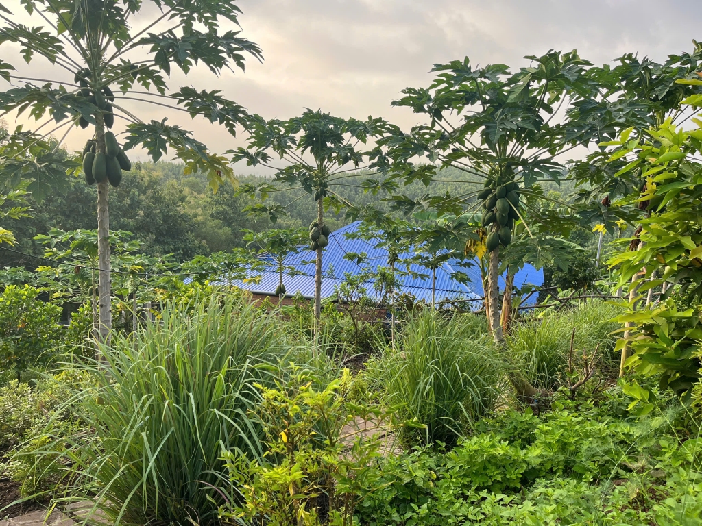 Đất nền đẹp tại La Ngà, Định Quán 1504m² giá 733 triệu - Cơ hội đầu tư sinh lời!