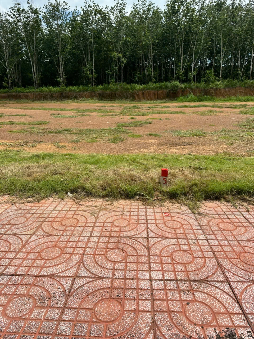 Đất nền Đồng Tiến, Đồng Phú 275m² giá 410 triệu - Cơ hội đầu tư hấp dẫn!