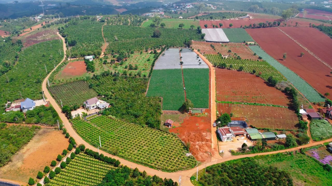 Đất nền Nam Ban 234m² giá chỉ 468 triệu - Cơ hội đầu tư tuyệt vời!