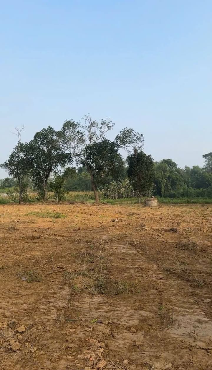 Đất nền đẹp tại xã Quỳnh Lưu, Nho Quan, 3000m² - Thế đất cao thoáng, suối chảy quanh năm!