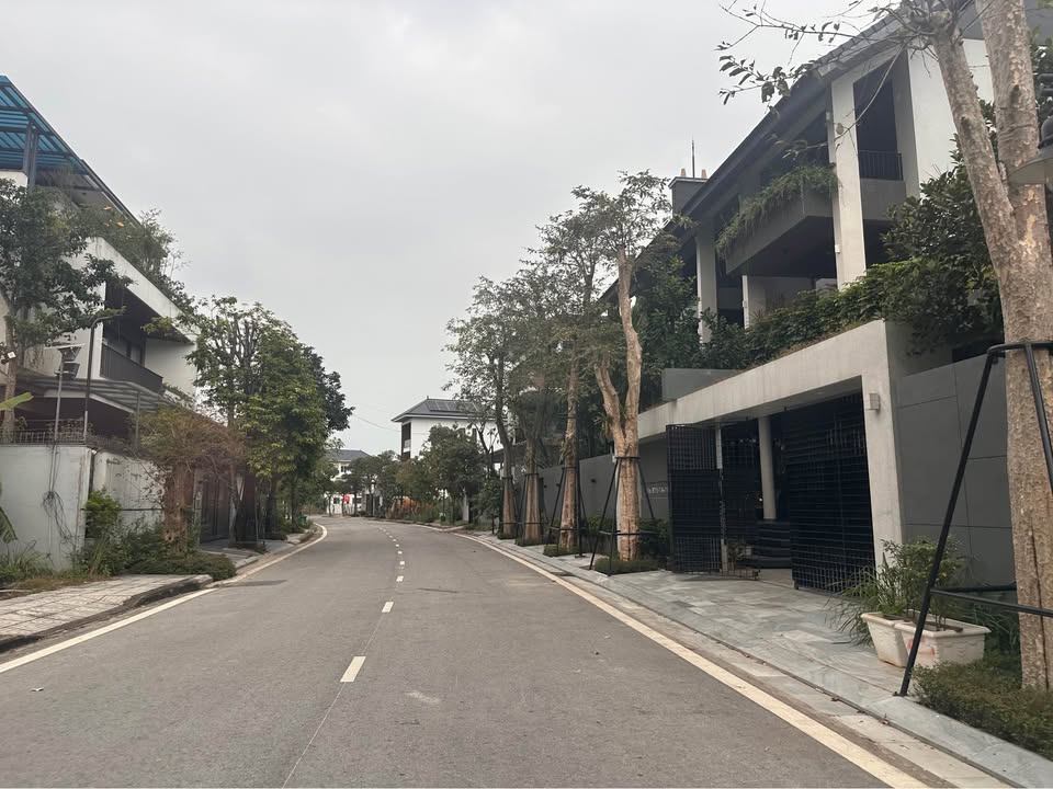 Đất nền Khu đô thị Handico Vinh Tân 172,5m² giá 6 tỷ - Đầu tư sinh lời ngay!