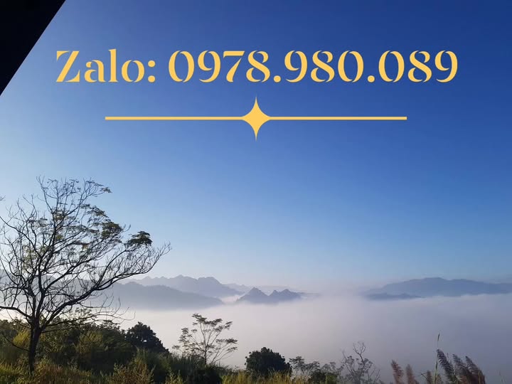 Đất Farm 8ha tại Mộc Châu giá chỉ 3 tỷ - Phù hợp cho du lịch trải nghiệm!