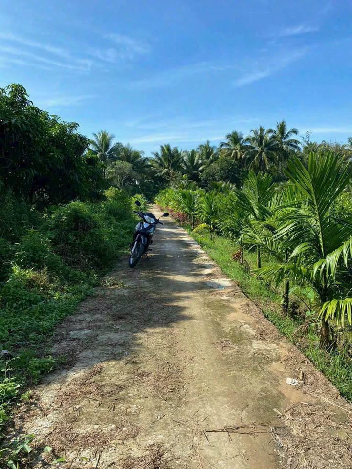 Đất nền xã Cái Nhum, huyện Mang Thít, Vĩnh Long 520m² giá 340 triệu - Tiềm năng đầu tư lớn!