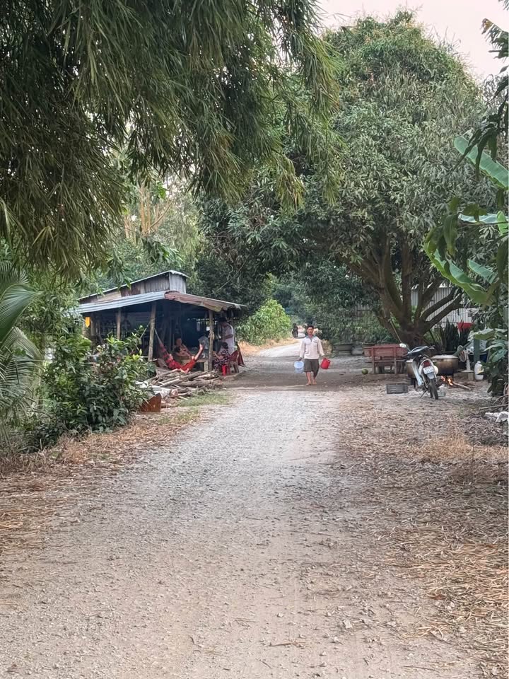 Đất nông nghiệp 19 công Tân Phú Châu Thành An Giang giá 4.5 tỷ - Cơ hội đầu tư tuyệt vời!