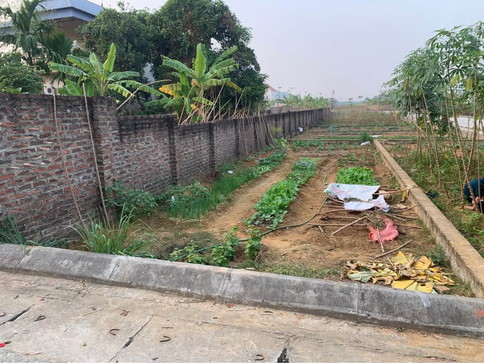 Đất thổ cư Tân Minh, Sóc Sơn 88m² giá 3 tỷ - Vị trí đắc địa, thuận lợi giao thông!