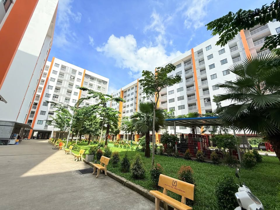 Chung cư Hồng Loan 5C Cần Thơ 2PN giá 6 triệu - Full nội thất sang trọng!