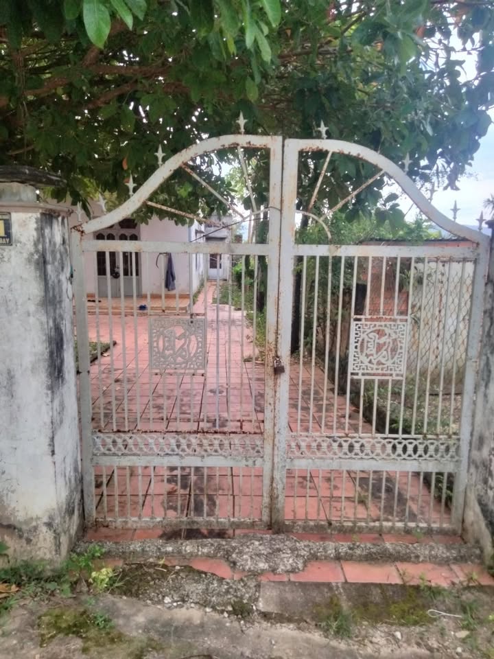 Đất nền Liên Sơn Lăk 660m² giá 900 triệu - Khu dân cư văn minh, không khí trong lành!