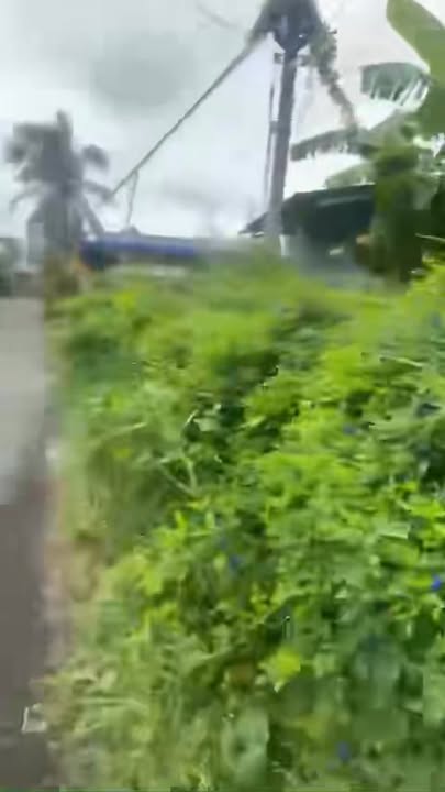 Đất nền 198m² Cẩm Sơn, Cai Lậy, Tiền Giang - Giá chỉ 850 triệu, thương lượng ngay!