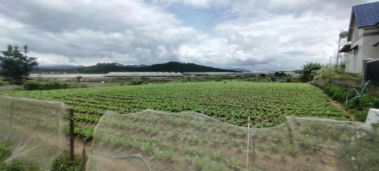 Đất nền 2,8 sào tại Quảng Lập, Đơn Dương - Giá 2.7 tỷ, đầu tư ngay!