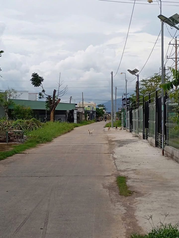 Đất thổ cư 600m² tại Hàm Chính - Mặt tiền 40m, giá thỏa thuận!