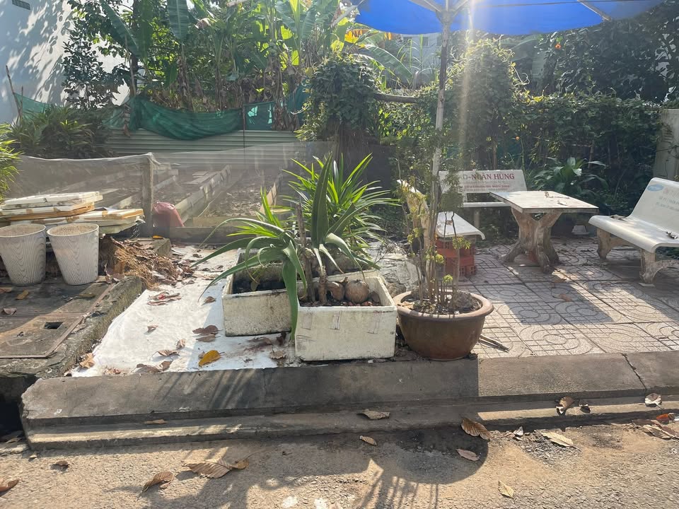 Đất nền dự án Ngân Thuận, Bình Thủy, Cần Thơ 168m² giá 3 tỷ - Cơ hội đầu tư hấp dẫn!