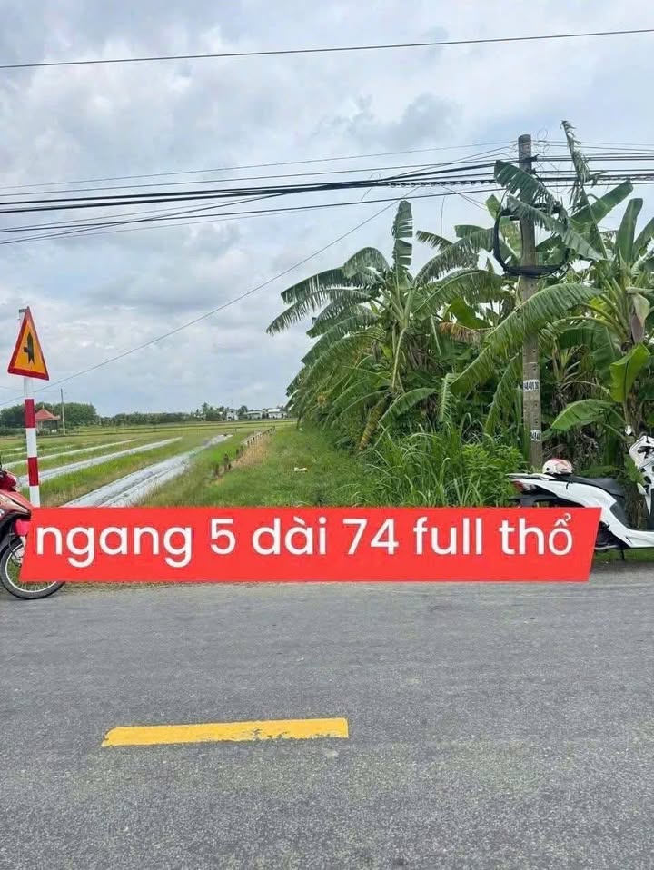 Đất nền mặt tiền Tỉnh lộ 833B, xã Quê Mỹ Thạnh, huyện Tân Trụ, 360m² - Cơ hội đầu tư tuyệt vời!