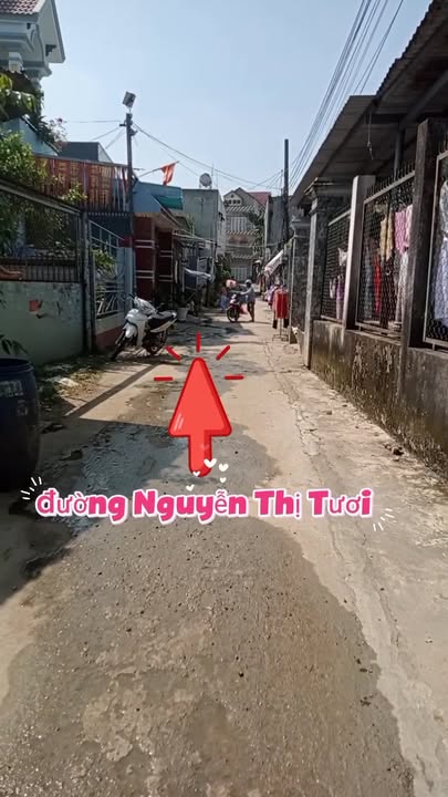 Lô đất 100m² Tân Bình, Dĩ An chỉ 2.5 tỷ - Pháp lý rõ ràng, vị trí đắc địa!