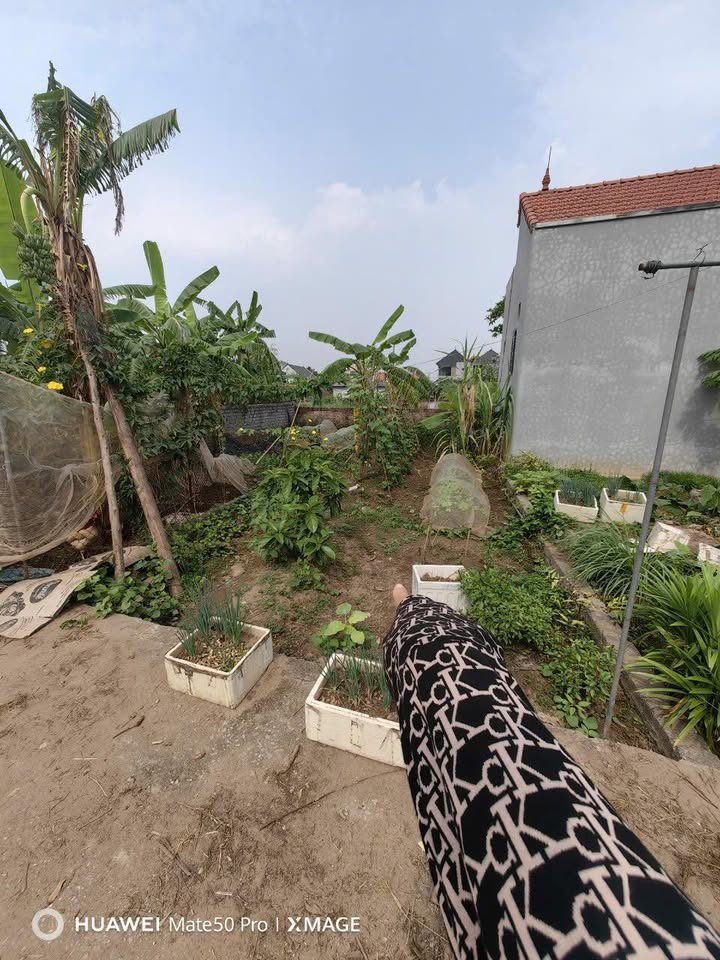 Đất nền Hồng Vân Thường Tín 55.8m² giá 2.95 tỷ - Tiềm năng đầu tư lớn!