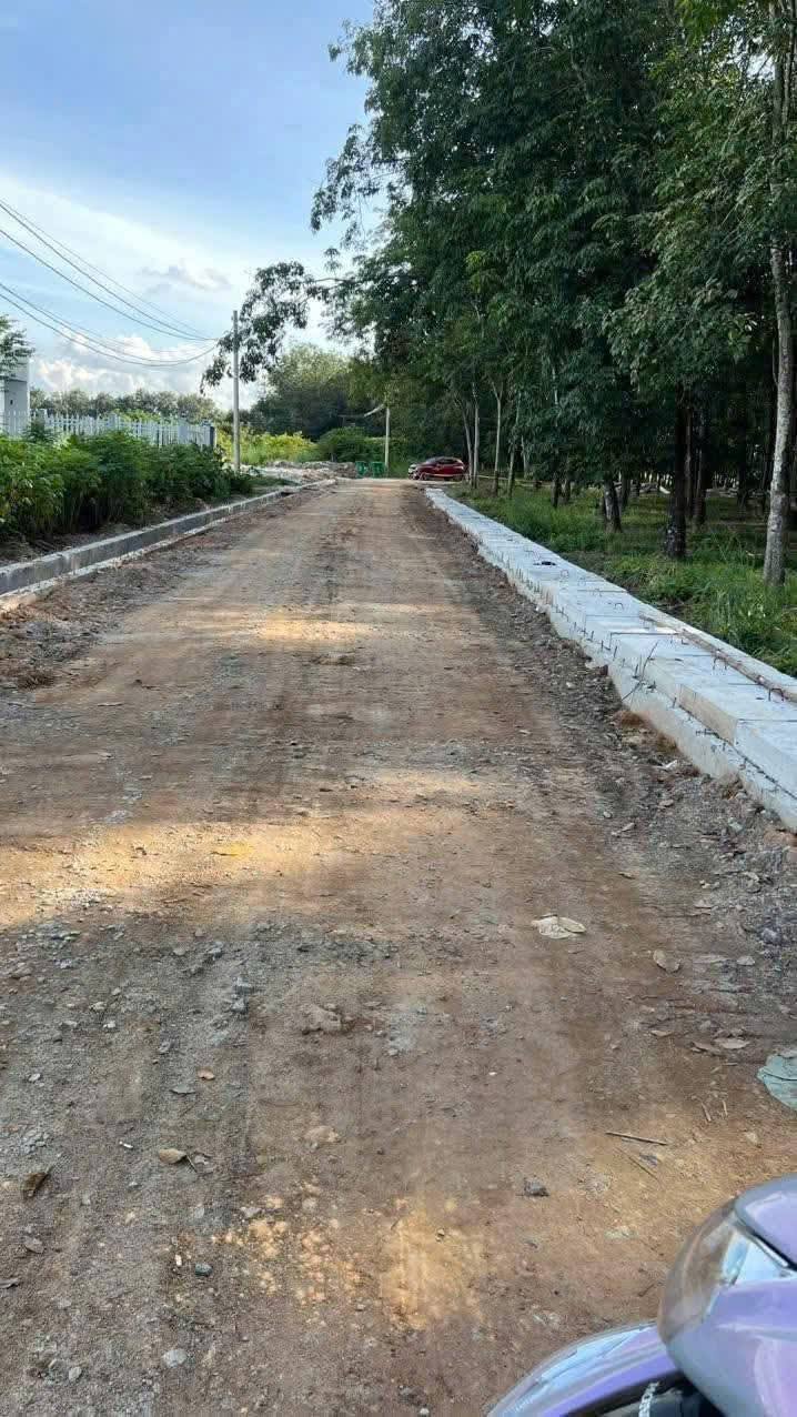 Đất nền liền kề Chánh Phú Hòa Bến Cát 175m² chỉ 1 tỷ - Bán gấp!