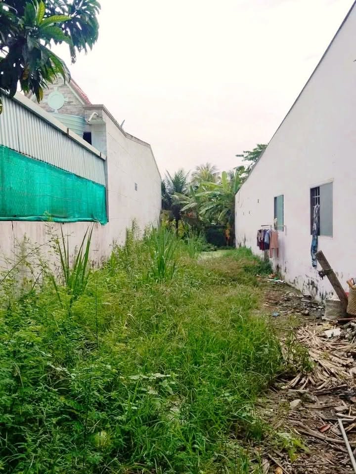 Đất nền ấp Đông, xã Kim Sơn, huyện Châu Thành, 174m² giá 1.65 tỷ - Đầu tư sinh lời hấp dẫn!