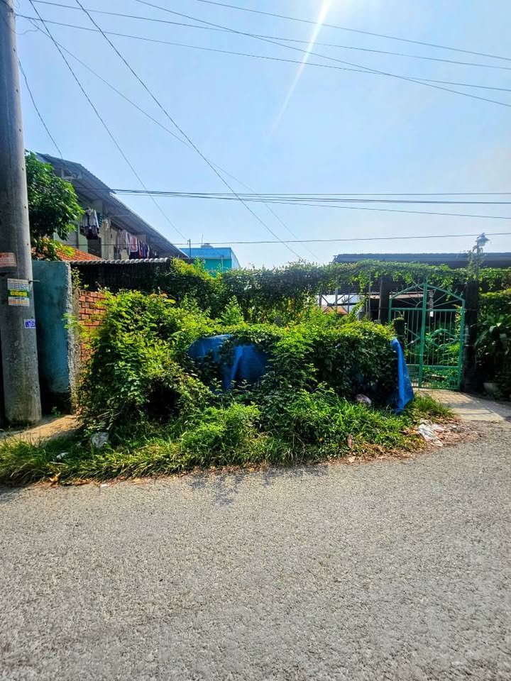 Đất nền đẹp tại Mỹ Phước, Long Xuyên 152.8m² giá 2 tỷ - Đầu tư sinh lời!