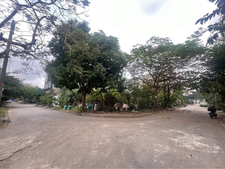 Đất liền kề Mặt bằng 1568, Quảng Hưng, 75m² - Đầy đủ tiện ích, xây tự do!