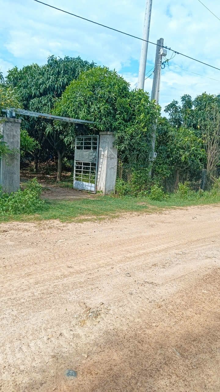 Đất nền Hàm Liêm 10000m² giá 3.2 tỷ - Sổ đỏ chính chủ, đầu tư sinh lời!