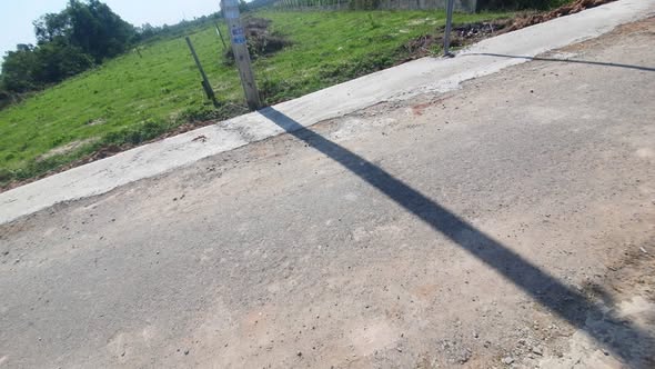 Đất thổ cư 1000m² đường nhựa Phước Đông, Gò Dầu - Đầu tư sinh lời ngay!