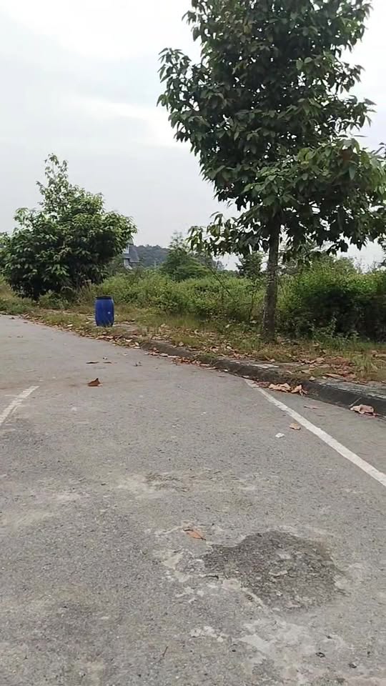 Đất thổ cư KDC An Thuận Long An 92.5m² giá 2.6 tỷ - Sổ đỏ chính chủ, đầu tư tiềm năng!