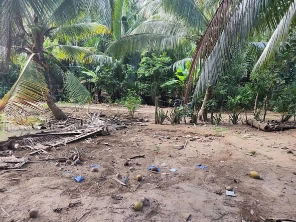 Đất thổ cư 1000m² Tân Thành Bình Mỏ Cày Bắc Bến Tre giá 450 triệu - Cơ hội đầu tư tuyệt vời!