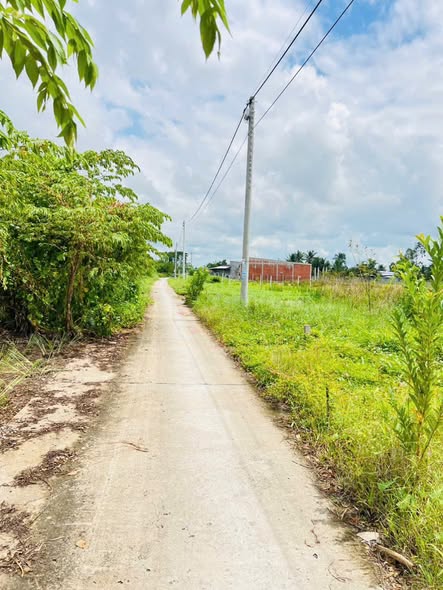 Đất nền Thạnh Lộc, Châu Thành 420m² chỉ 395 triệu - Tiềm năng đầu tư sinh lời!