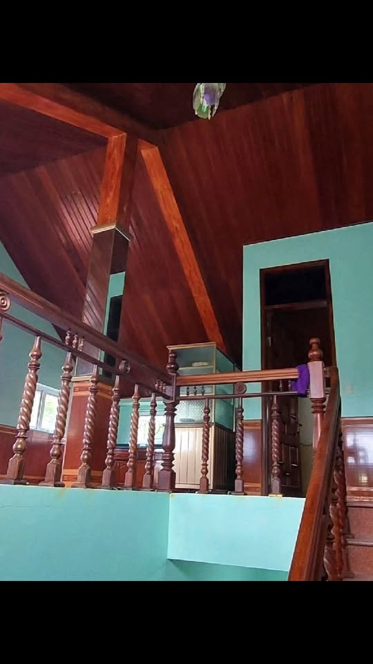 Nhà nguyên căn Phú Hải 140m² - Đẹp, thoáng mát, cho thuê giá hấp dẫn!